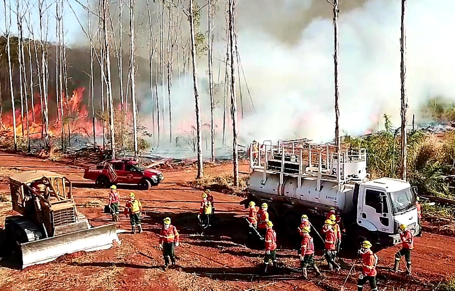 Prevenção, monitoramento e pronta atuação dos bombeiros reduzem em 81% focos de calor no Pantanal