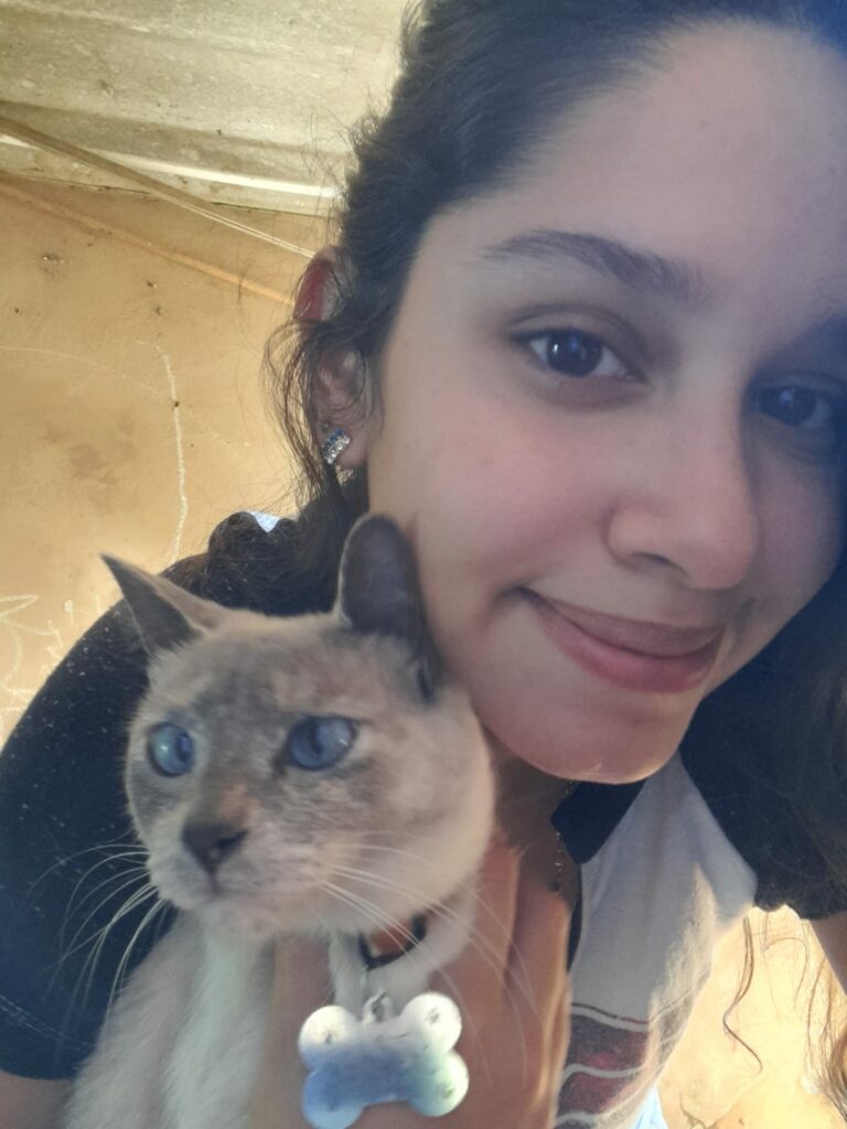 Queda na temperatura é alerta para situação de animais abandonados e mobiliza Ongs e pessoas