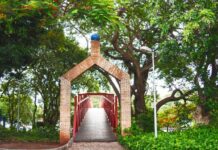 Dia do Flashback acontece hoje no Horto Florestal com atrações para toda a família e entrada gratuita
