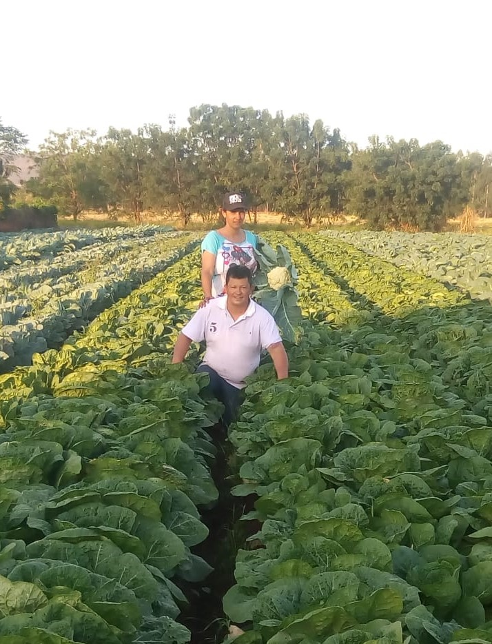 Dia do agricultor: ações do Governo fortalecem a produção do campo