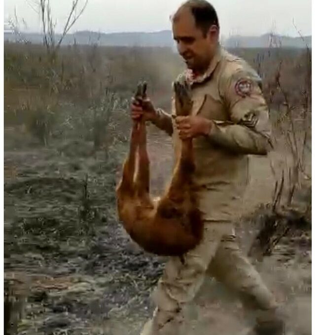 Fogo atinge quase 4 mil hectares em Bonito e Pantanal já se incendeia