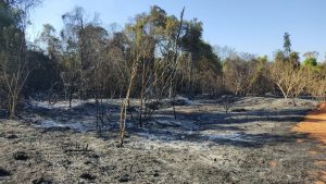 Polícia Civil segue investigando incêndio no Parque dos Poderes