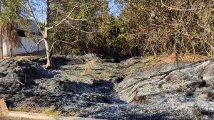 Polícia Civil segue investigando incêndio no Parque dos Poderes