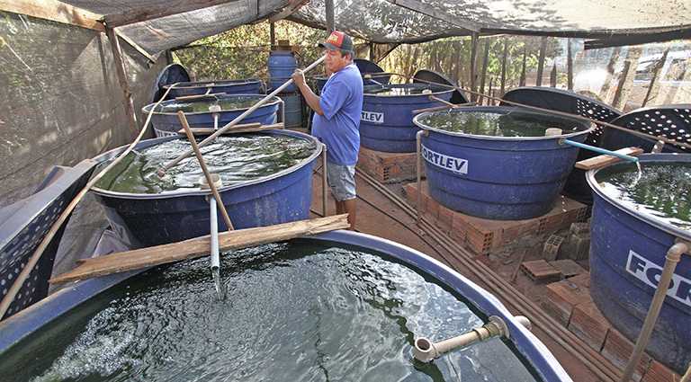 Água Bonita: os desafios de preservar tradições indígenas dentro de uma aldeia urbana Água Bonita: os desafios de preservar tradições indígenas dentro de uma aldeia urbana