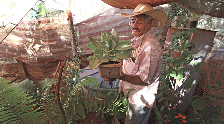 Água Bonita: os desafios de preservar tradições indígenas dentro de uma aldeia urbana Água Bonita: os desafios de preservar tradições indígenas dentro de uma aldeia urbana