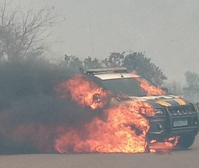 WhatsApp Image 2021-08-25 at 15.25.39