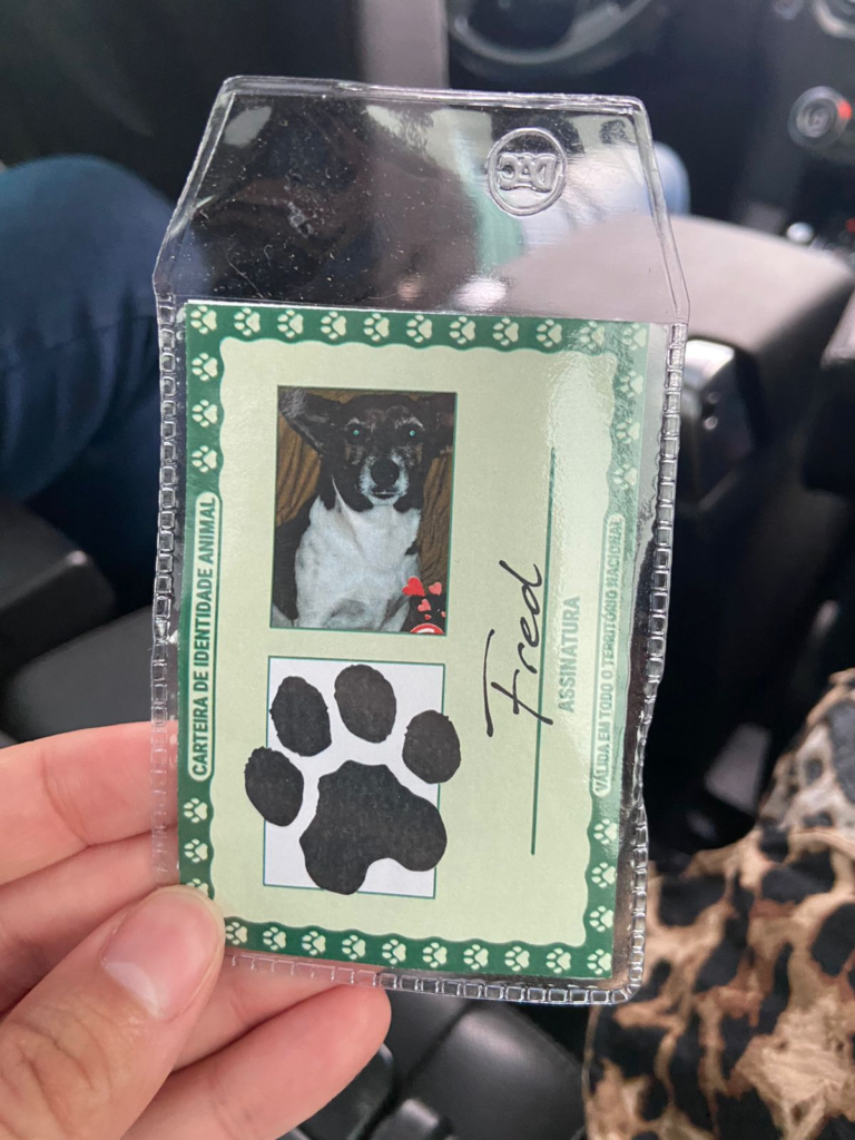 Investimento de Marcio Fernandes, Bonito e Jardim garantem mutirões de castração