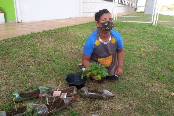 Escola Sesi de Três Lagoas monta horta para incentivar alimentação saudável