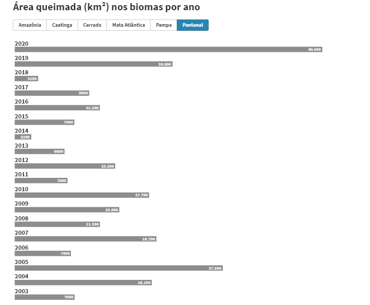 Seca pode intensificar novo recorde de queimadas no Pantanal neste ano