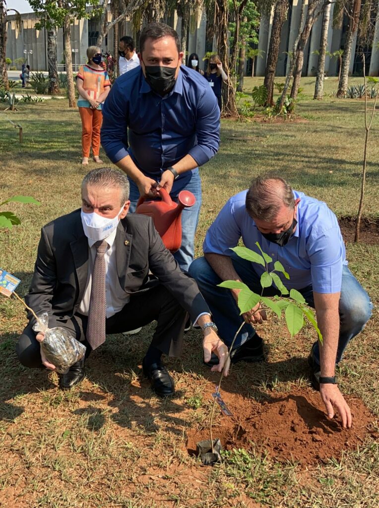 No Dia da Árvore, Marcio Fernandes planta Ipê Roxo e distribui 150 mudas