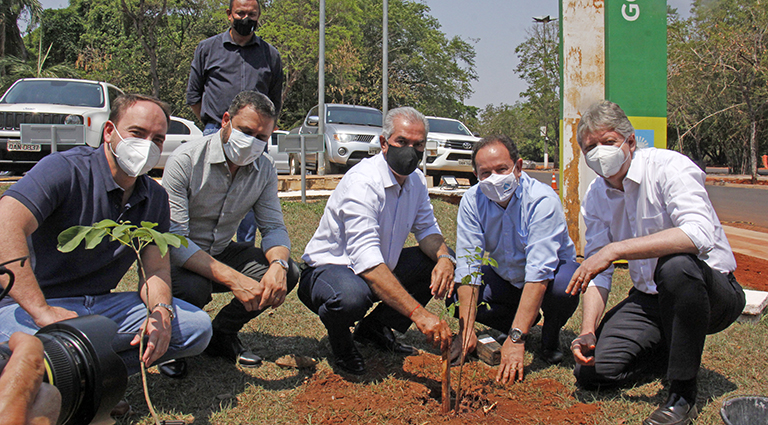 Em ato alusivo ao Dia da Árvore, governador destaca ações para transformar MS em Estado carbono neutro