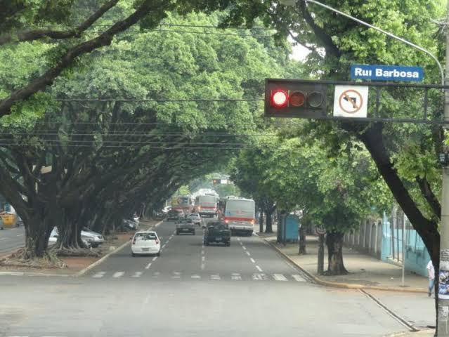 Campo Grande comemora o Dia da Árvore valorizando e multiplicando espécies