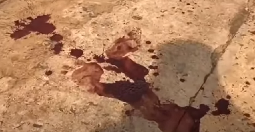 Rapaz de 22 anos é esfaqueado enquanto dormia na Vila Piratininga