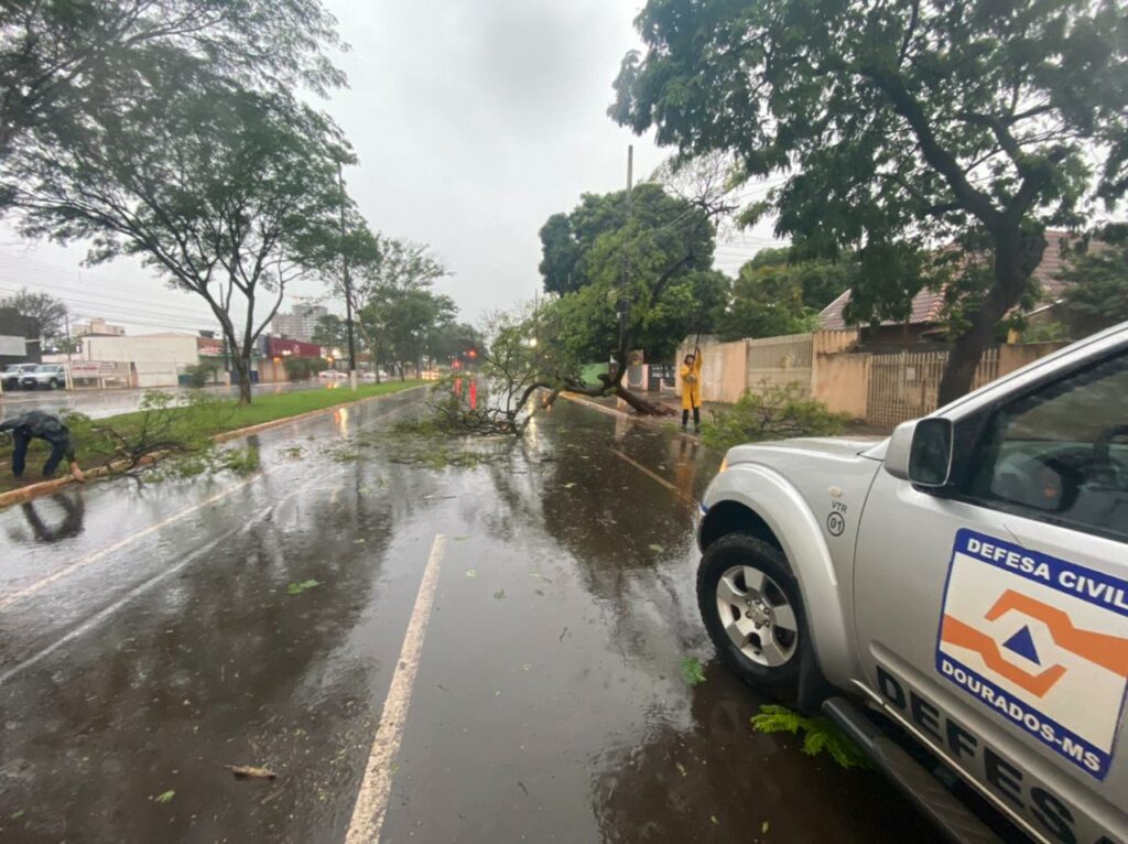 Defesa Civil atende ocorrências provocadas pela chuva em Dourados