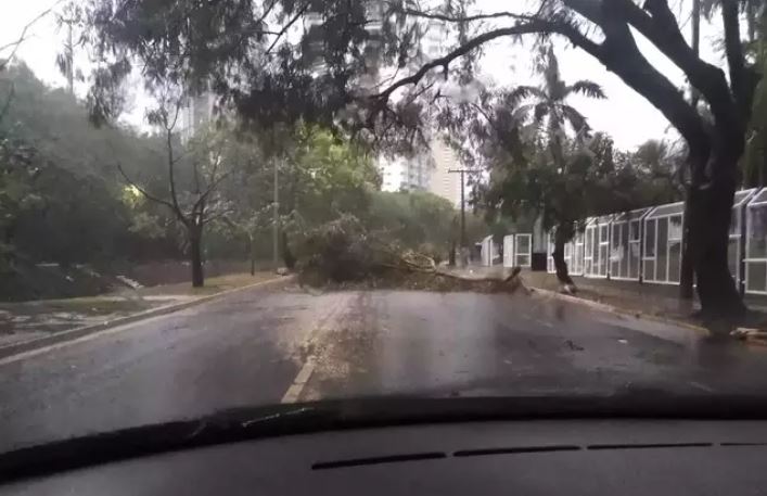 Chuva intensa causa estragos e alagamentos em Campo Grande