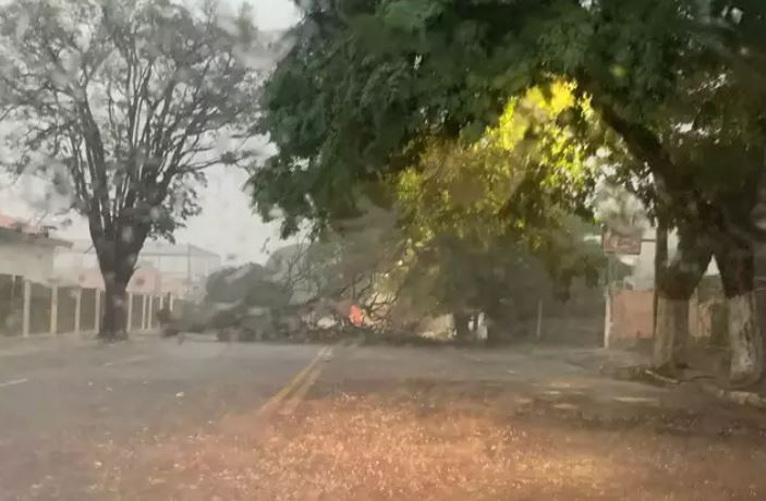 Chuva intensa causa estragos e alagamentos em Campo Grande