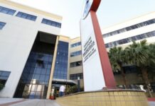 Justiça condena hotel para animais a pagar R$ 20 mil por sumiço de cão na Capital