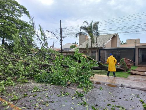 Defesa Civil atende ocorrências provocadas pela chuva em Dourados