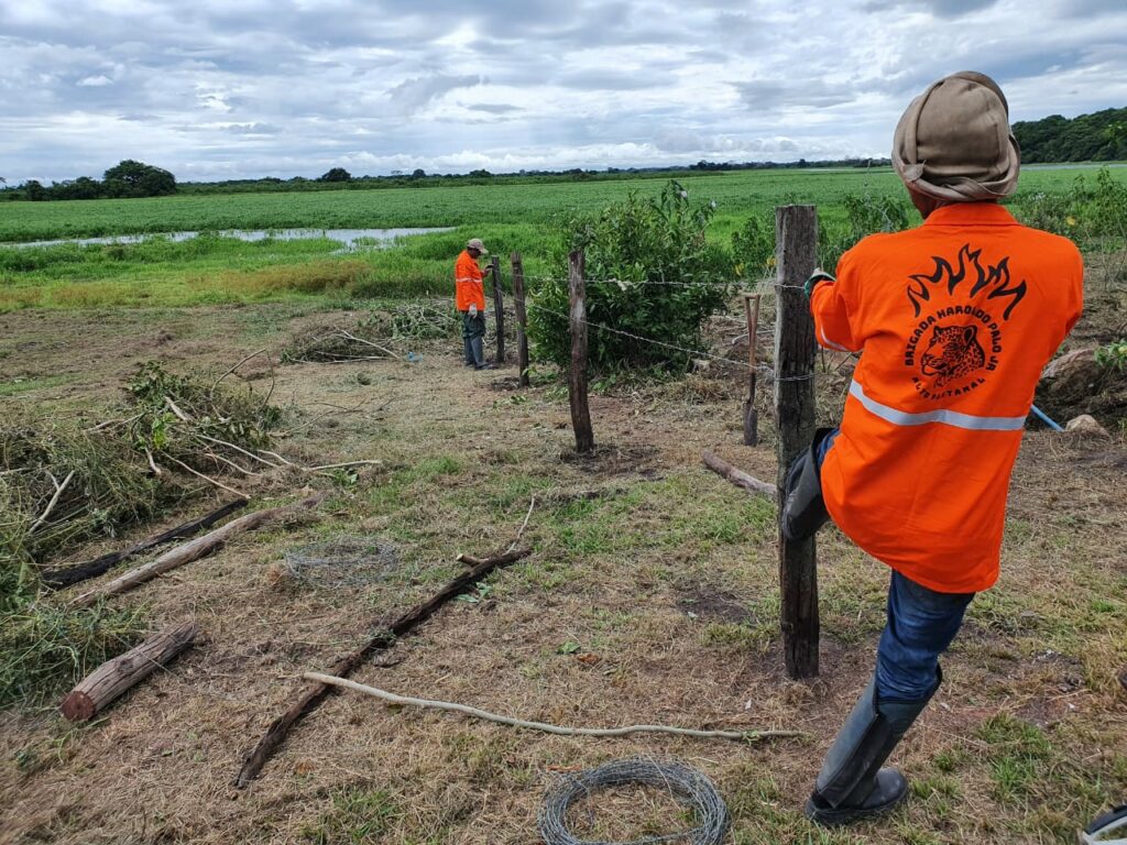 Instituto lança campanha 'Pantanal Resiste'