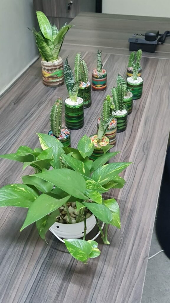 Artesão cria beleza e harmonia de plantas com vasos artesanais na Capital Artesão cria beleza e harmonia de plantas com vasos artesanais na Capital