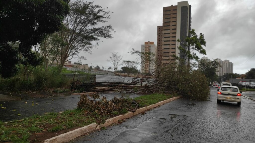 Vídeos: Capital vive medo da natureza que faz chuvas de 'terra e água' e ventania com objetos no ar