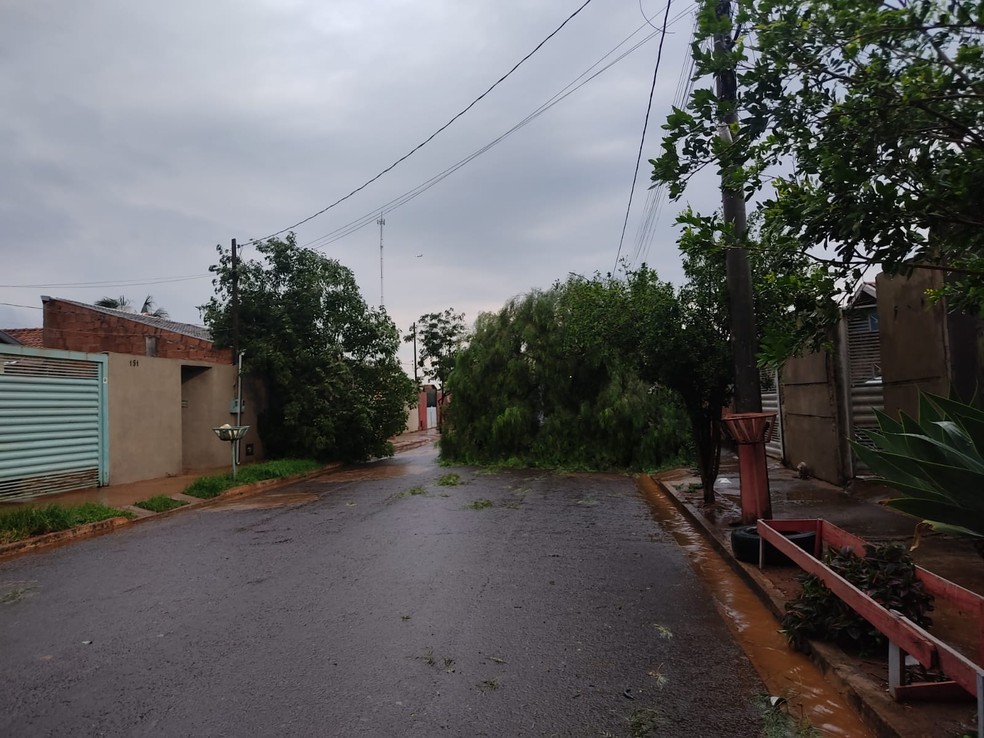 Chuva intensa causa estragos e alagamentos em Campo Grande