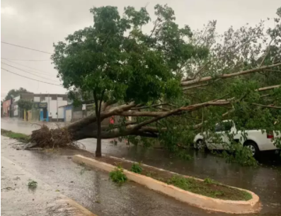Chuva intensa causa estragos e alagamentos em Campo Grande Chuva intensa causa estragos e alagamentos em Campo Grande