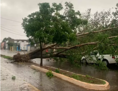 Chuva intensa causa estragos e alagamentos em Campo Grande