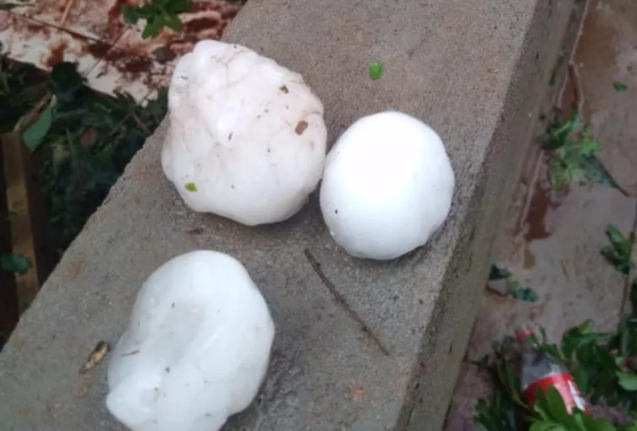 Chuva de granizo com pedras enormes atinge a zona rural de cidade de MS