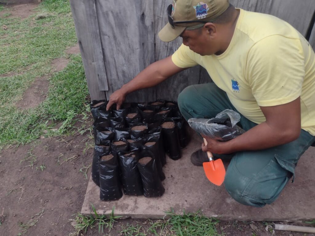 Indígenas Kadiwéu participam de oficina de produção de mudas nativas do Pantanal e Cerrado Indígenas Kadiwéu participam de oficina de produção de mudas nativas do Pantanal e Cerrado