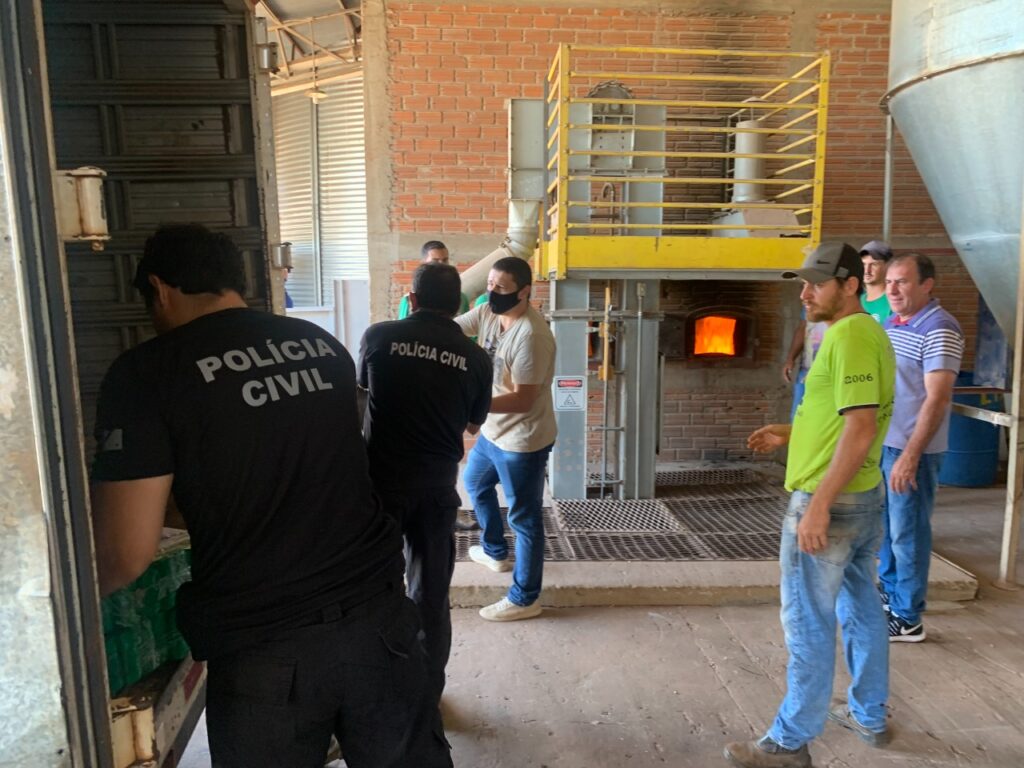 PC faz incineração de 4,3 ton de drogas em pequeno município de MS