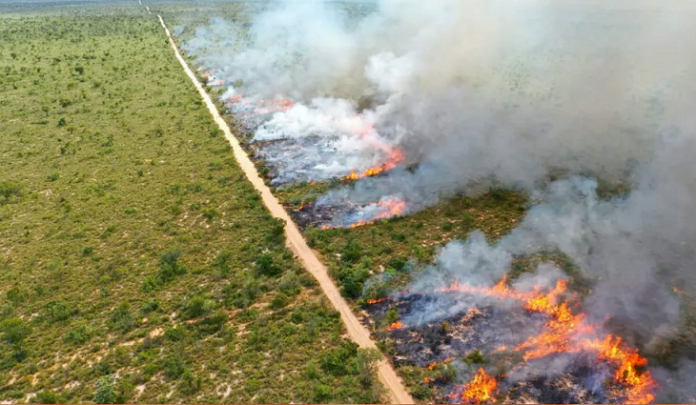 queimacontrolada-730x425