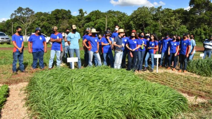 whatsapp-image-2021-11-25-at-163946-1637879176-768x432