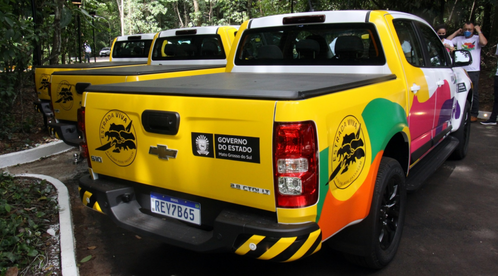 Governo em parceria com Ongs lançam projeto para reduzir morte de animais silvestres Governo em parceria com Ongs lançam projeto para reduzir morte de animais silvestres