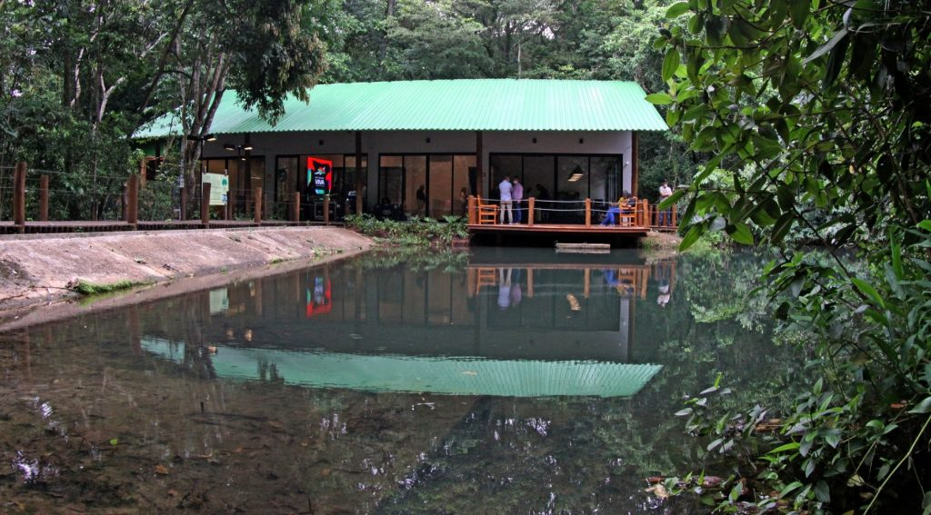 Governo em parceria com Ongs lançam projeto para reduzir morte de animais silvestres Governo em parceria com Ongs lançam projeto para reduzir morte de animais silvestres