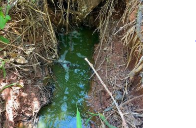 Fecularia é autuada em R$ 25 mil por lançamento de efluentes sem tratamento ao solo Fecularia é autuada em R$ 25 mil por lançamento de efluentes sem tratamento ao solo