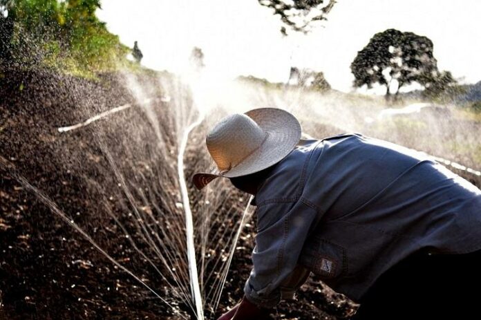 Foto_Produtor Rural_0