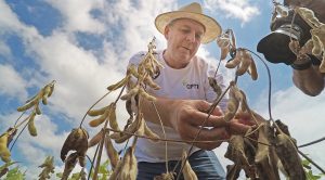 Decreto de emergência estadual ajuda produtor rural a reduzir prejuízos pela estiagem Decreto de emergência estadual ajuda produtor rural a reduzir prejuízos pela estiagem