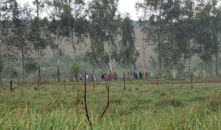 Vitória foi assassinada por ciúmes de vizinho, diz delegado Vitória foi assassinada por ciúmes de vizinho, diz delegado