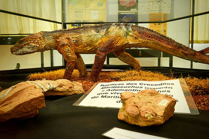 museu-paleontologia1