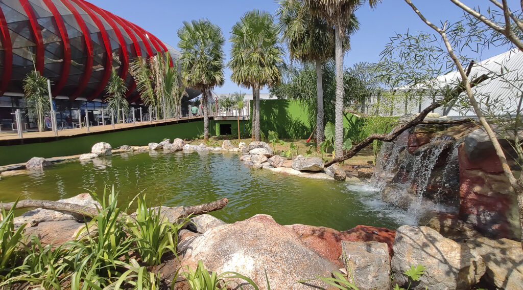 Circuito interno de tanques do Aquário do Pantanal começa a receber peixes