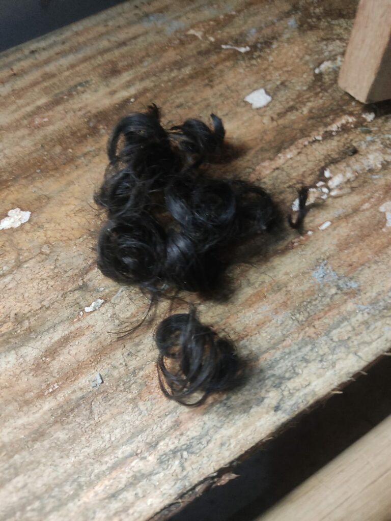 Batalhão de Choque da PM flagra sessão do "Tribunal do Crime" e sete são presos