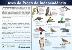 Evento “Vem Passarinhar MS” promove o birdwatching e inaugura placa com espécies de aves em Corumbá