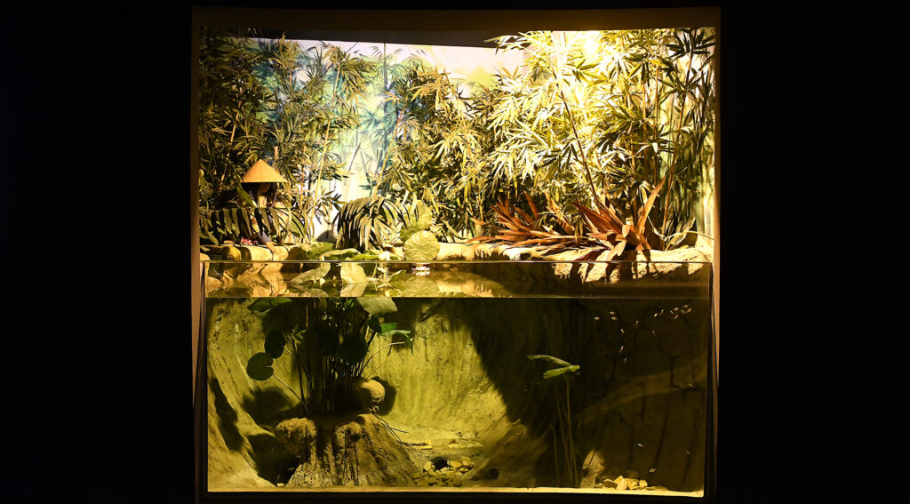 Bioparque Pantanal: conheça o maior circuito de aquários de água doce do mundo Bioparque Pantanal: conheça o maior circuito de aquários de água doce do mundo