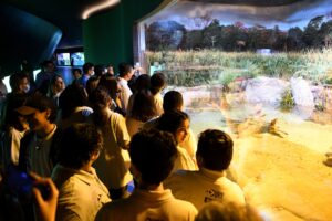 Primeiros visitantes do Bioparque Pantanal, alunos se encantam com a beleza e diversidade de peixes Primeiros visitantes do Bioparque Pantanal, alunos se encantam com a beleza e diversidade de peixes
