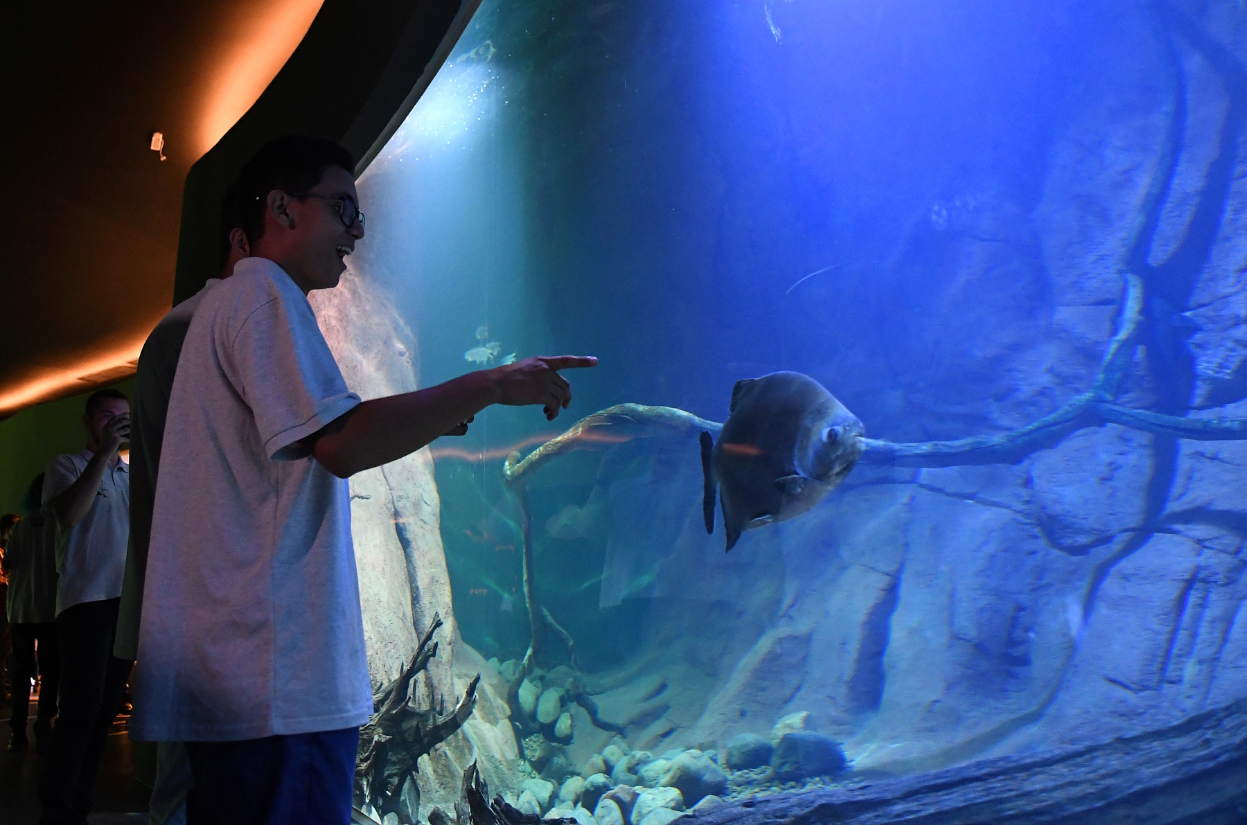 Primeiros visitantes do Bioparque Pantanal, alunos se encantam com a beleza e diversidade de peixes Primeiros visitantes do Bioparque Pantanal, alunos se encantam com a beleza e diversidade de peixes
