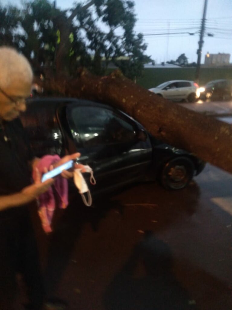 Chuva forte derruba árvores e causa alagamentos em pontos da cidade