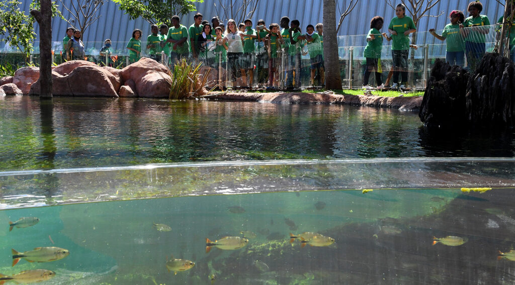 Indígenas e quilombolas de cinco comunidades visitam Bioparque Pantanal 