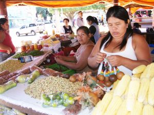 Festival de Cultura Indígena apresentará de Gastronomia a Miss/Mister CG