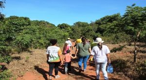 Feriado é oportunidade de conhecer destinos turísticos sem igual em MS